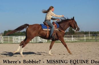 Where's Bobbie? - MISSING EQUINE Docs Scenic Hancock, Near Welch, OK, 74369